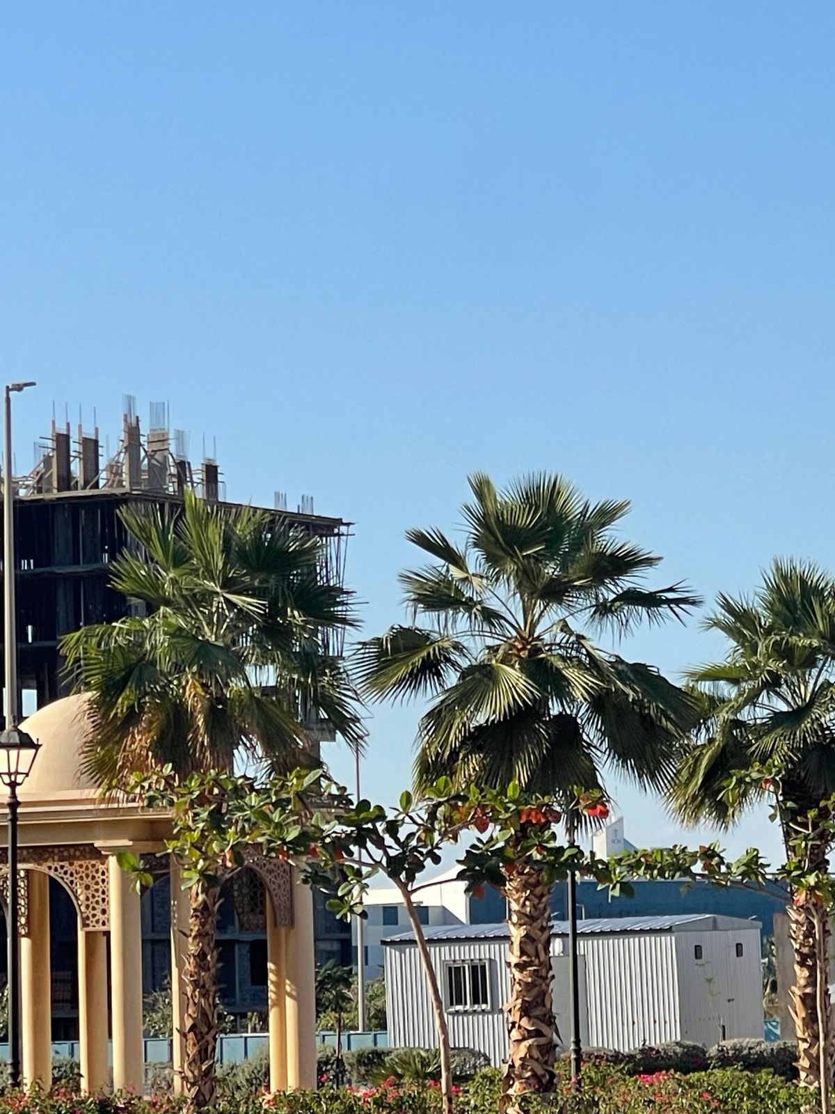 WhatsApp Image 2025-12-16 at 10.18.18 AM